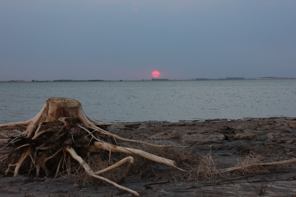 Puesta del sol en Epecu%C3%A9n con ramas de %C3%A1rboles muertos por la inundaci%C3%B3n