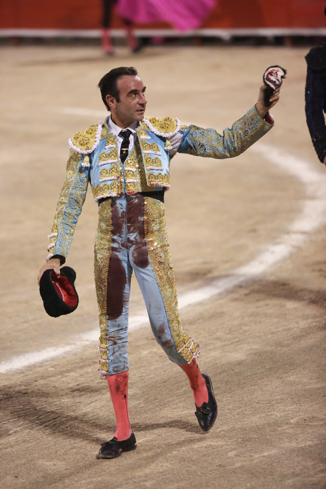 Ponce 6