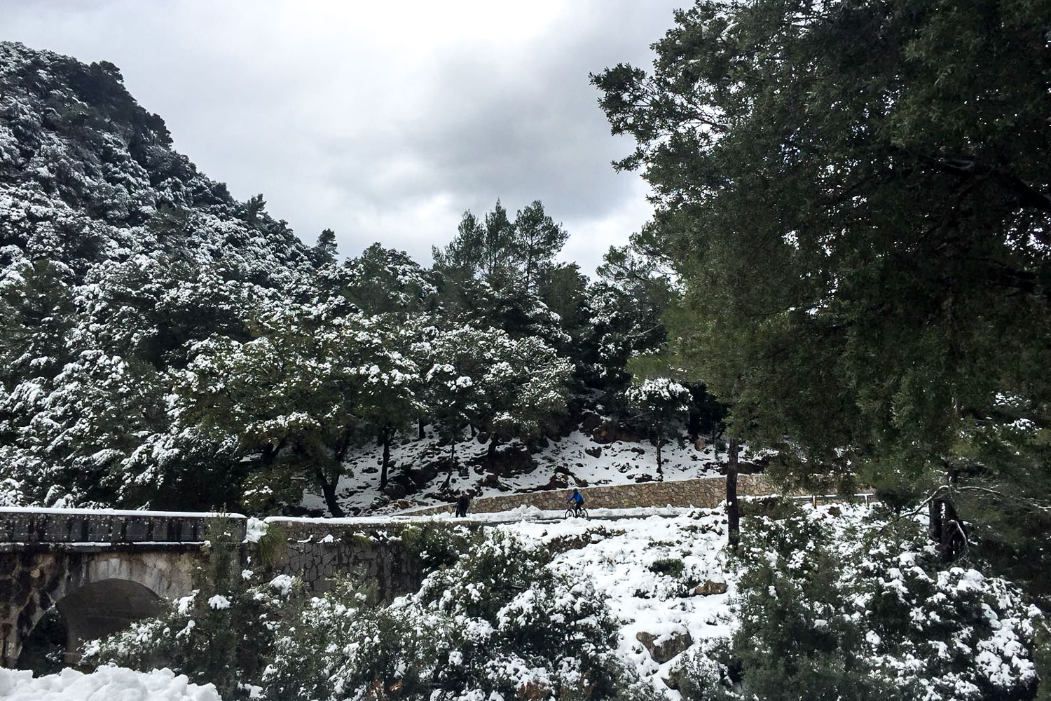 Nieve en Mallorca 1