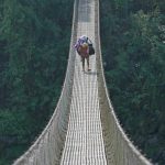 Nepal, grandeza vertical 7 09 Puente colgante camino a Bandipur copia