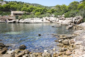 26 años después, “sa Dragonera Lliure” 2 JFOS0832