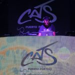 Cats, cualquier tiempo pasado fue mejor 3 cats 004
