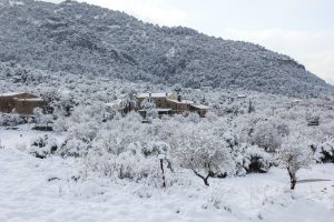 Andratx Nevado 4774
