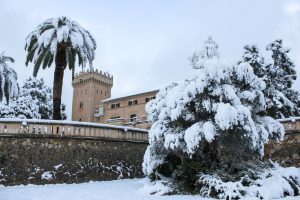 Andratx Nevado 4717