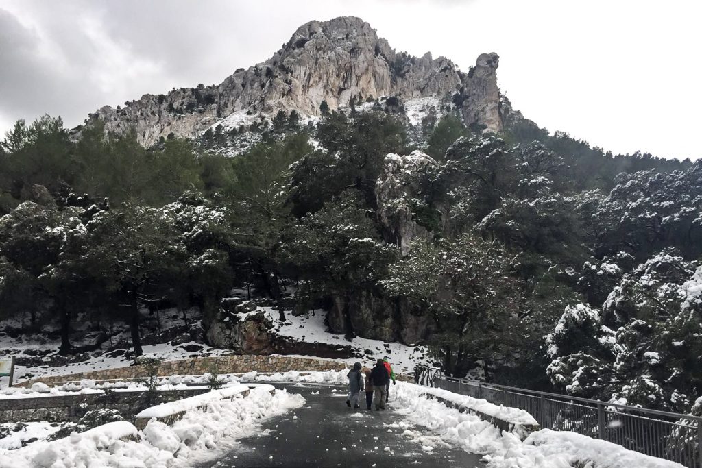 La ola de frío activa las visitas a la sierra en Mallorca 2 Nieve en Mallorca 3
