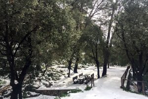 Nieve en Mallorca 4