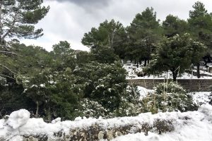 Nieve en Mallorca 2