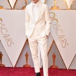 La alfombra roja de los Oscar 38 Timoth%C3%A9e Chalamet