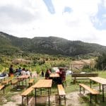 Fira de Andrtax 224