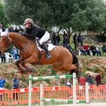 Fira de Andrtax 181