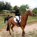 Fira de Andrtax 139