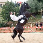 Fira de Andrtax 122