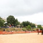 Fira de Andrtax 081