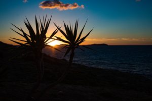 Ibiza 76