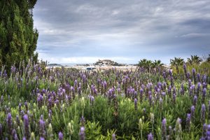 Viaje a Ibiza 1