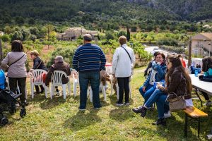 Fira de Andratx 41