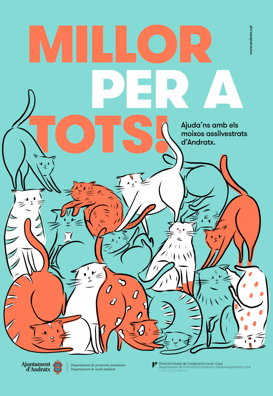 gatos