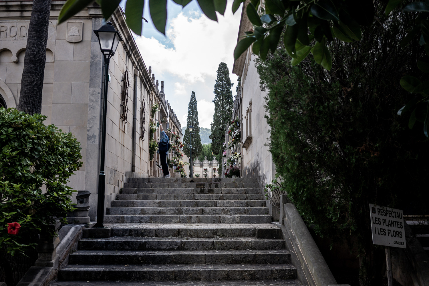 Día de Todos los Santos en el cementerio de Andratx 3 cementerio 11