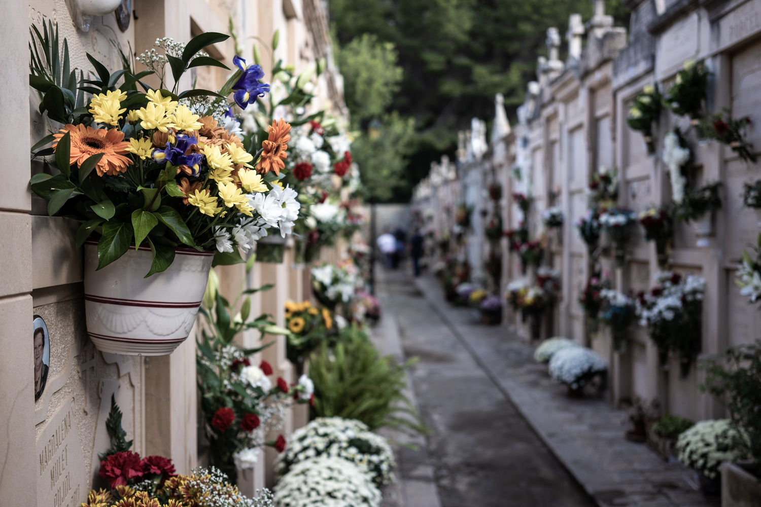 Día de Todos los Santos en el cementerio de Andratx 5 cementerio 16