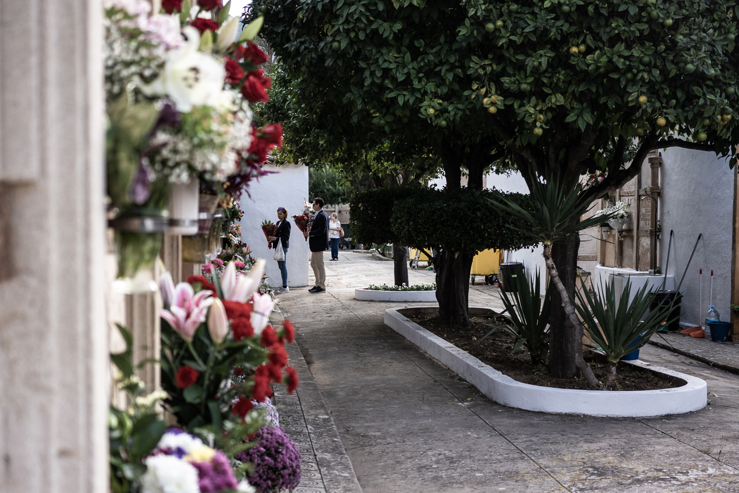 Día de Todos los Santos en el cementerio de Andratx 6 cementerio 24
