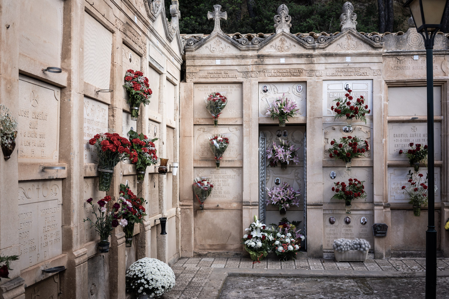 Día de Todos los Santos en el cementerio de Andratx 7 cementerio 25