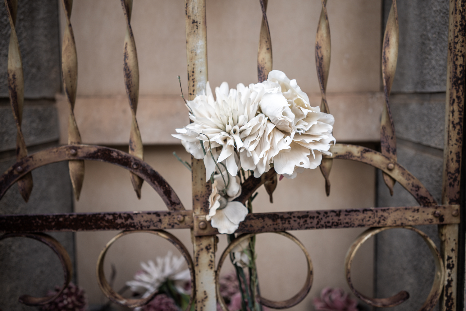 Día de Todos los Santos en el cementerio de Andratx 8 cementerio 31