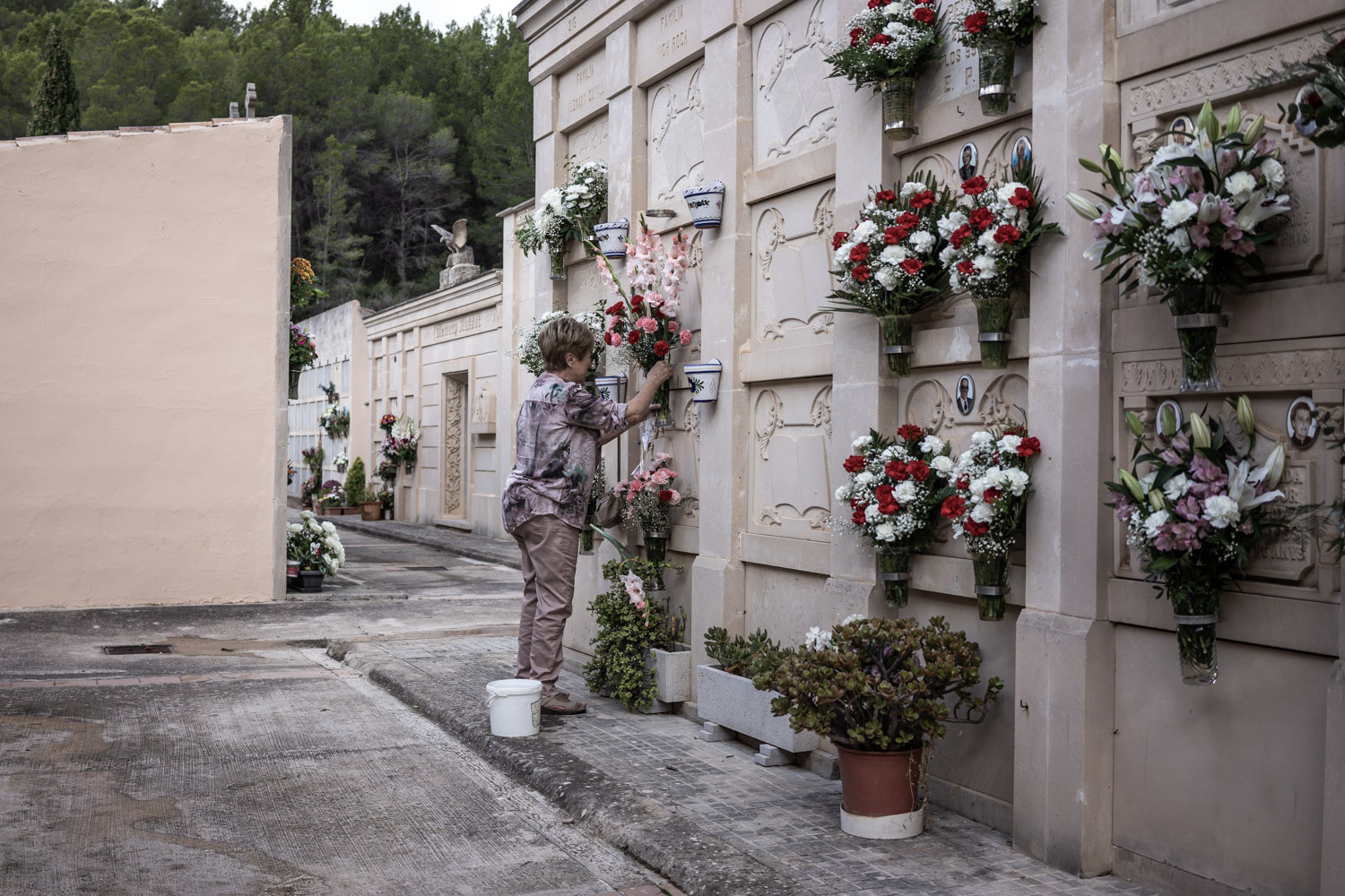 Día de Todos los Santos en el cementerio de Andratx 12 cementerio 49