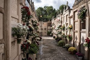 cementerio 62