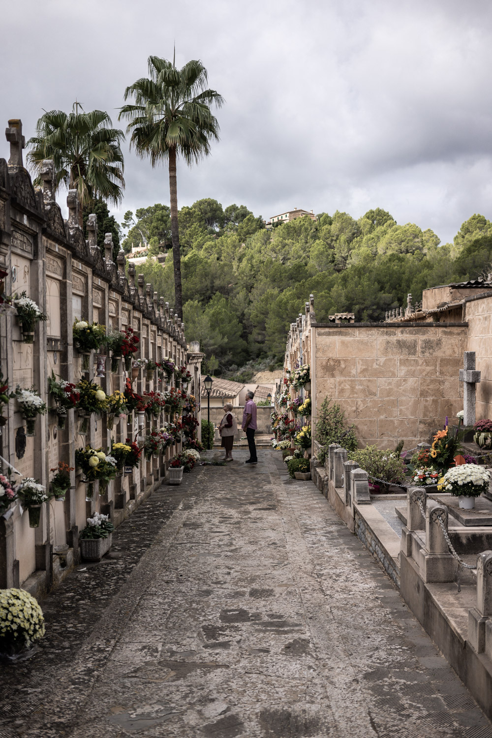 Día de Todos los Santos en el cementerio de Andratx 16 cementerio 64