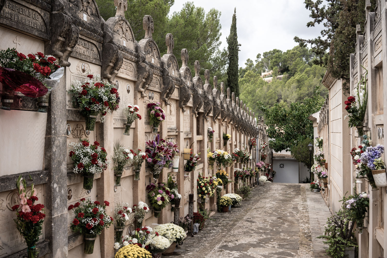 Día de Todos los Santos en el cementerio de Andratx 17 cementerio 69