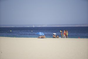 Britanicos en Magaluf 211