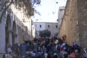 Manifestacion 240