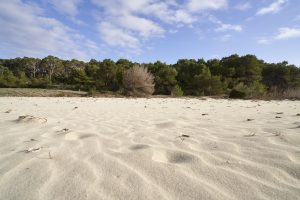 Sur de Mallorca 9