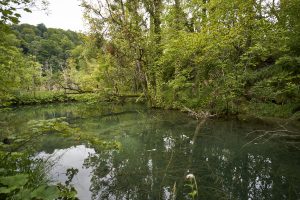 Croacia y Bosnia 247