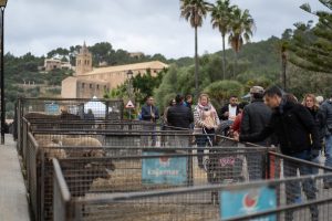 Fira de Andratx 165