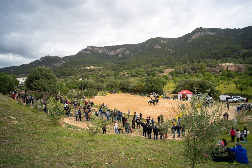 Fira d'Andratx 2026: qué ver, cuándo y dónde del 27 al 29 de marzo en Mallorca 1 Fira de Andratx 192