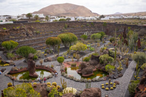 Jardin del cactus Lanzarote 1