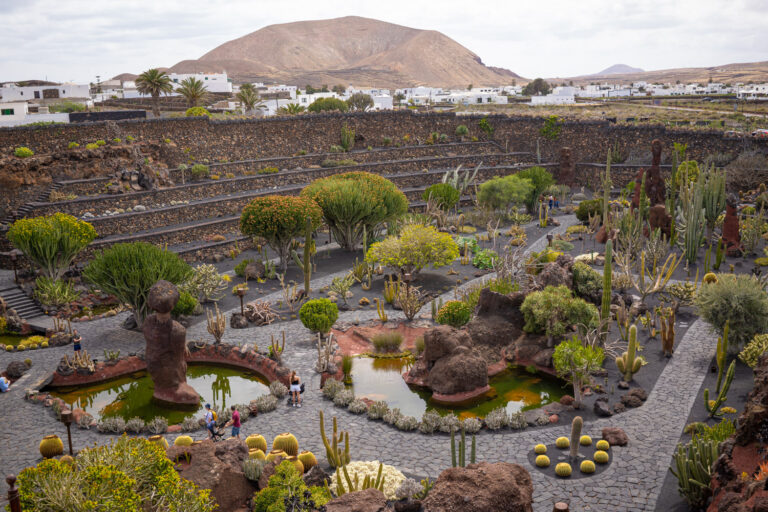 Jardin del cactus Lanzarote 1