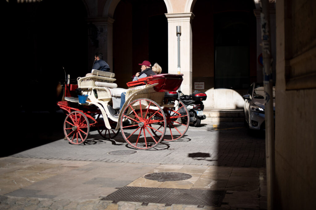 Turistas Palma 19