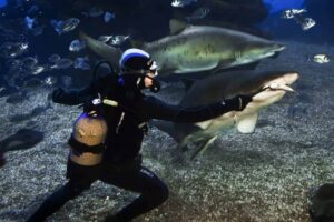 Palma Aquarium
