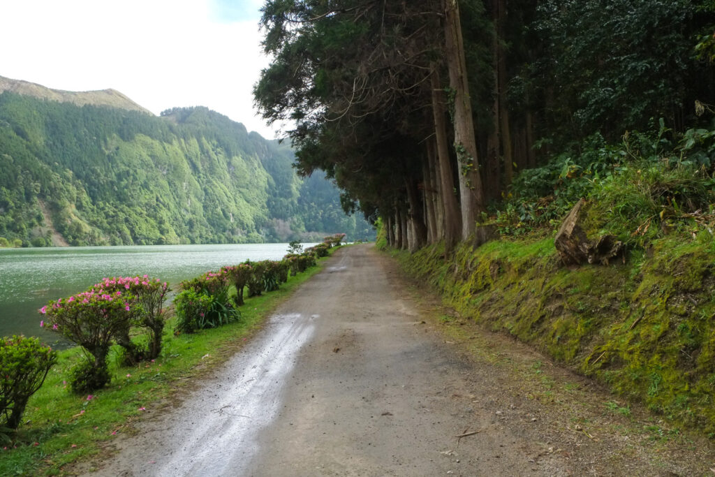 Descubriendo Sao Miguel: La Joya Verde de las Azores 15 Sao Miguel 27