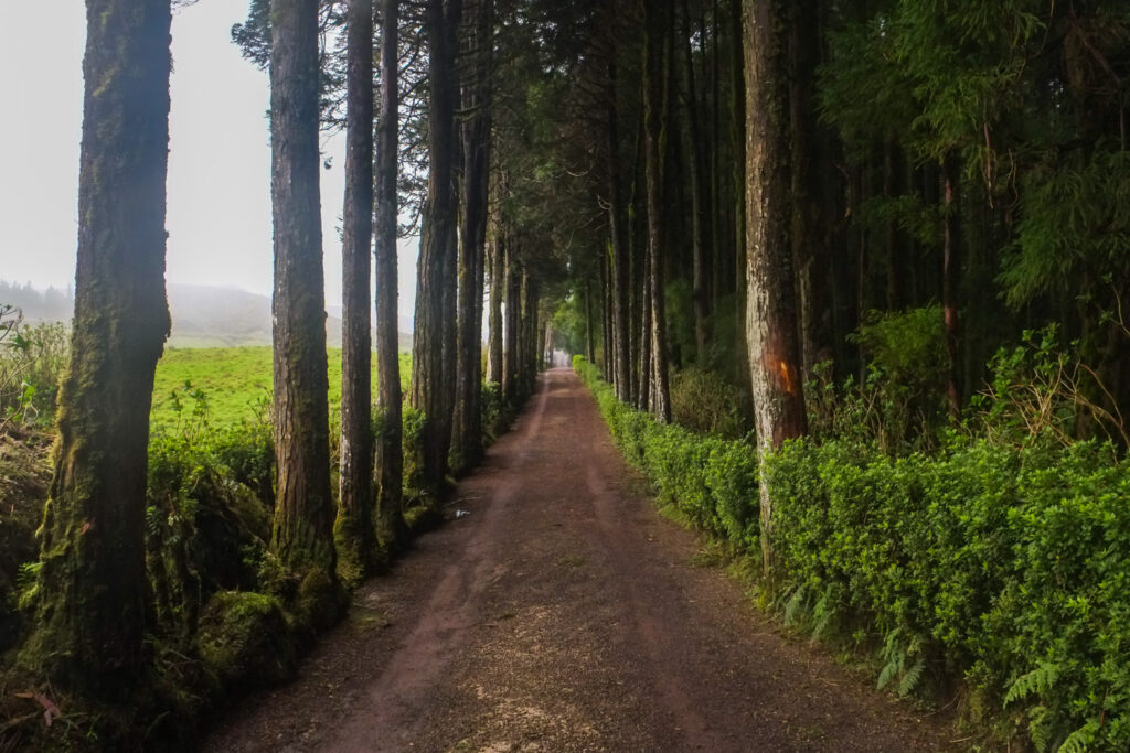 Descubriendo Sao Miguel: La Joya Verde de las Azores 14 Sao Miguel 24
