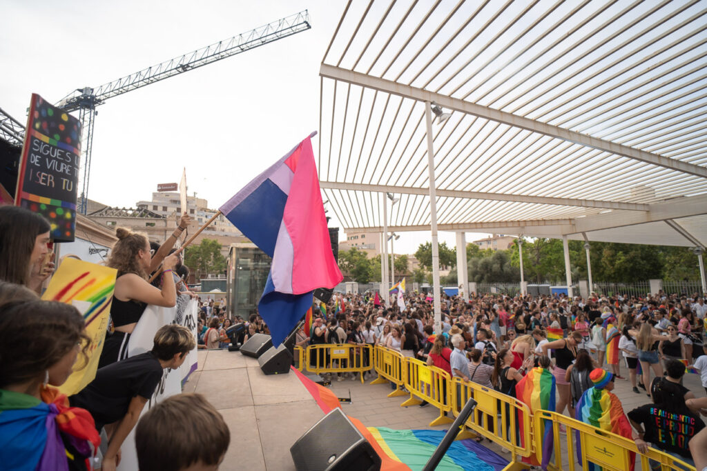 Manifestacion LGTBI Dia del orgullo 541