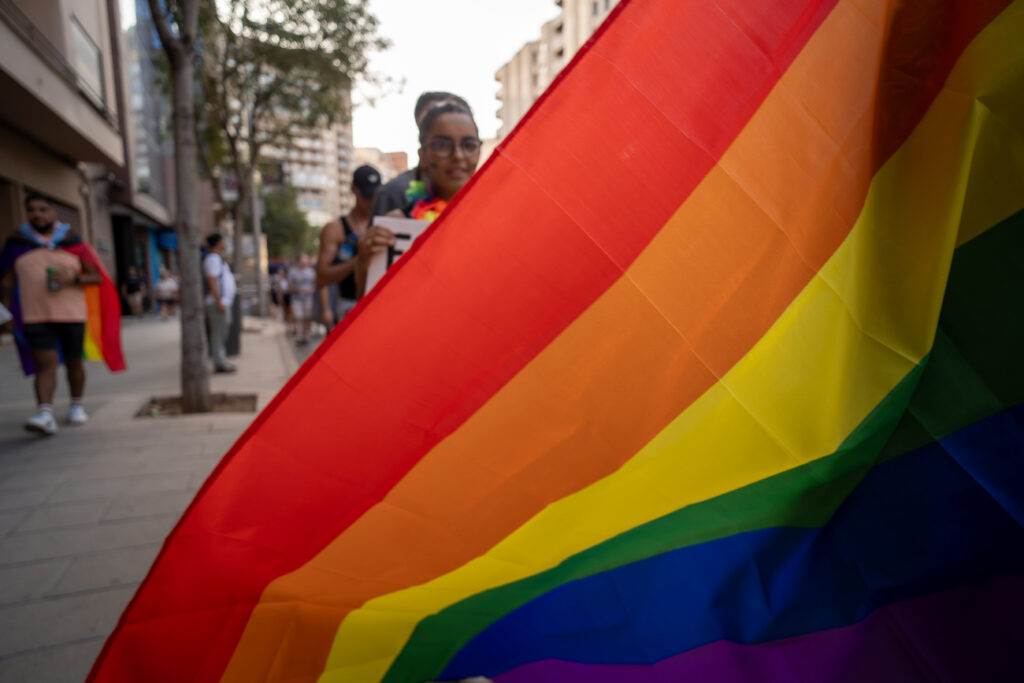 Manifestacion LGTBI Dia del orgullo 387