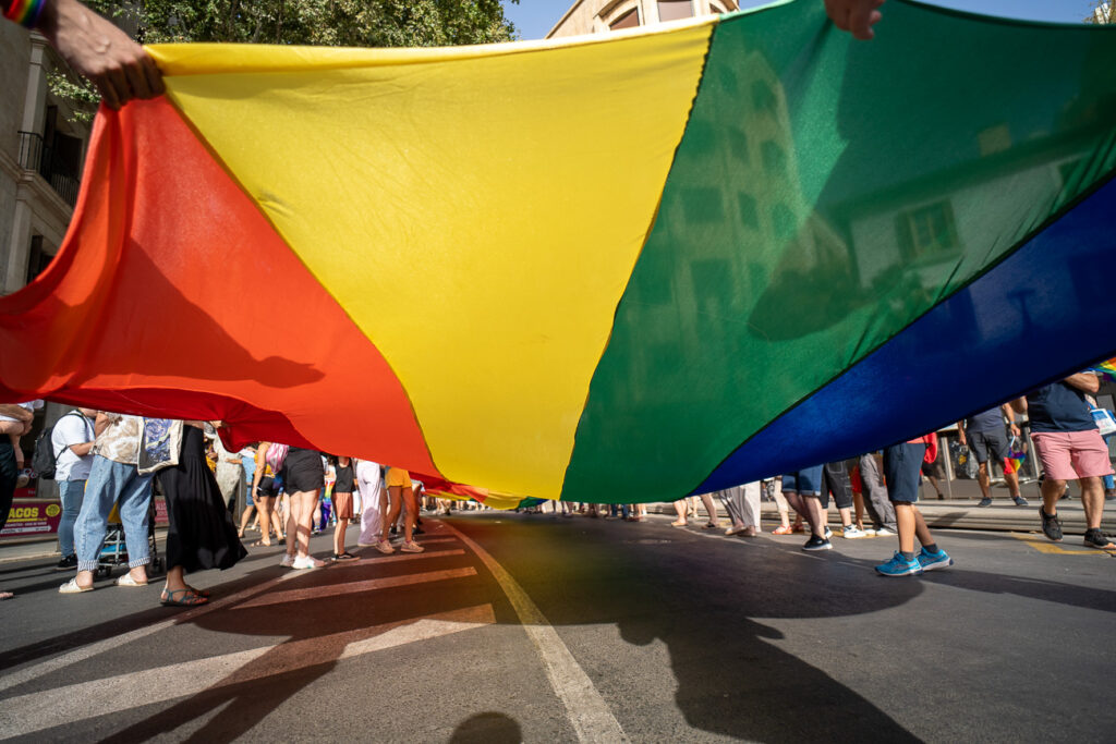 Manifestacion LGTBI Dia del orgullo 128