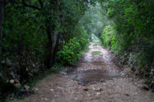 Poblado de Es Turassot ruta talayotica 16