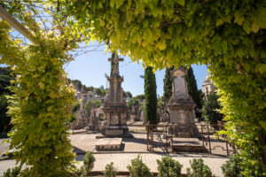 Cementerio y Tanatorio 70