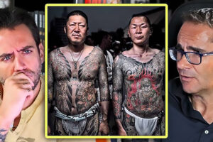 David Jimenez The Wild Project