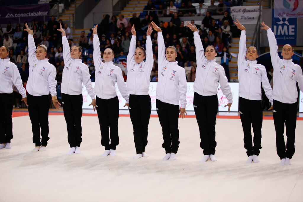 Liga Iberdrola Gimnasia Artistica 3