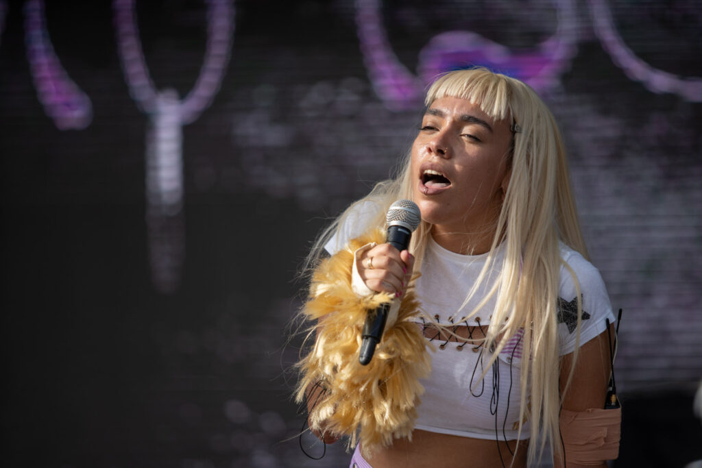 Mallorca Live Festiva 1 dia 58